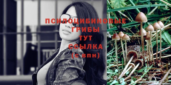 эйфоретик Абинск