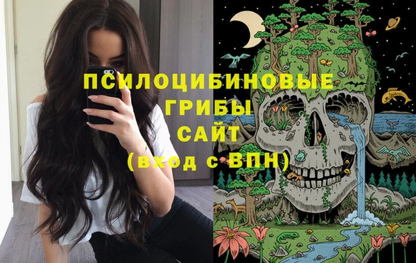 первитин Алексин
