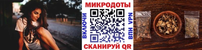 даркнет сайт  Кашин  Псилоцибиновые грибы мицелий 